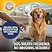 Arm & Hammer Dog Dental Water Additive Breath Freshener, Odorless Flavorless Oral Care Solution for Plaque and Tartar Control, Daily No Brush Dental Support for Dogs, 16 Fl Oz