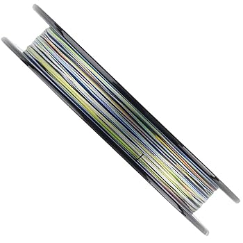 Amazon.co.jp: ダイワ(DAIWA) ソルティガ 12ブレイド EX+SI 300m