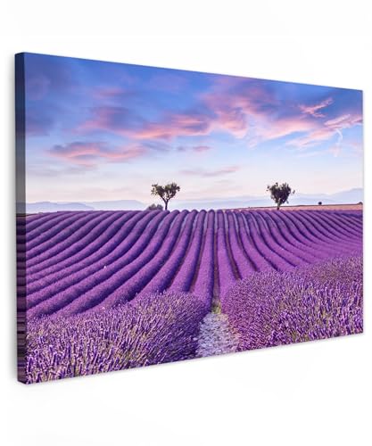 MuchoWow© Wandbilder Groß 120x80 cm XXL Schlafzimmer Home Deko Wohnung Bild Wohnzimmer Fotoleinwand Wand Bilder Leinwand Wall Decor Lavendel - Natur - Lila - Bäume - Blumen - Landschaftsbilder MuchoWow© Wandbilder Groß 120x80 cm XXL Schlafzimmer Home Deko Wohnung Bild Wohnzimmer Fotoleinwand Wand Bilder Leinwand Wall Decor Lavendel - Natur - Lila - Bäume - Blumen - Landschaftsbilder