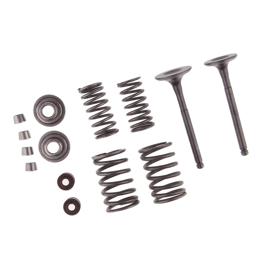 Lot de 5 ressorts de soupapes d'échappement d'admission pour VTT 110 cc Dirt Pit Bike Go Kart Trail Bike