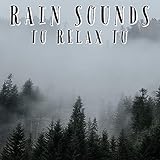  Moring Rain Sounds