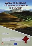  Mapa de cultivos y aprovechamientos de Navarra. Hoja 65-III. Lesaka