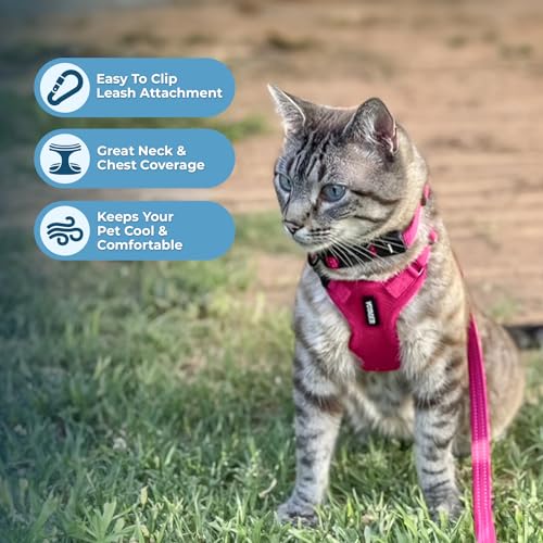 Image of Voyager Escape-Proof Step-in Lock Cat Harness & 5ft Neoprene-Handle Leash Set All-Weather Mesh with Reflective Stitching for Small to Large Cats by Best Pet Supplies, Fuchsia, S