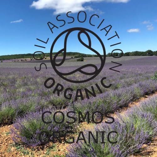 Aceite Esencial Orgánico de Lavanda Francesa 10ml miniatura 2