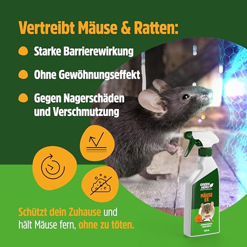 Mäuse Ex Spray zur Mäuseabwehr & Rattenabwehr, 500 ml Mäuseschreck gegen Mäuse & Ratten, Abwehrmittel für Haus, Dachboden, Garten & Outdoor, Mäusespray zum Vertreiben und als Abschreckung