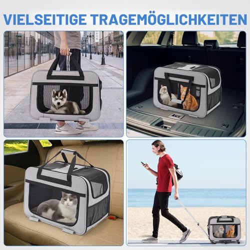 FASNATI Extra Große Katzentransportbox für 2 Katzen bis 20kg, Faltbare Transportboxen für 2 Katzen mit Rollen, Transportbox Katze Groß für Spaziergänge/Camping, Grau