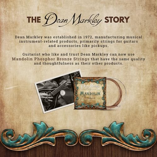 Cordes mandoline qui durent longtemps Dean Markley 2404 PhosBronze regular - 7