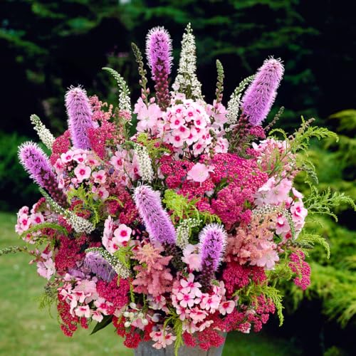 Complete Cut Flower Perennial Flower Bulb Garden - 27 Bulbs