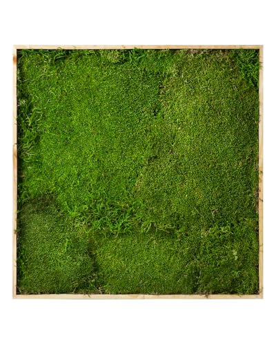 12x12 Preserved Moss Wall Frame - Zero Maintenance Decor