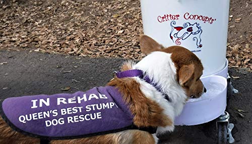 image for Critter Concepts Dog Water Dispenser 5 Gallon Automatic Waterer-Watch 