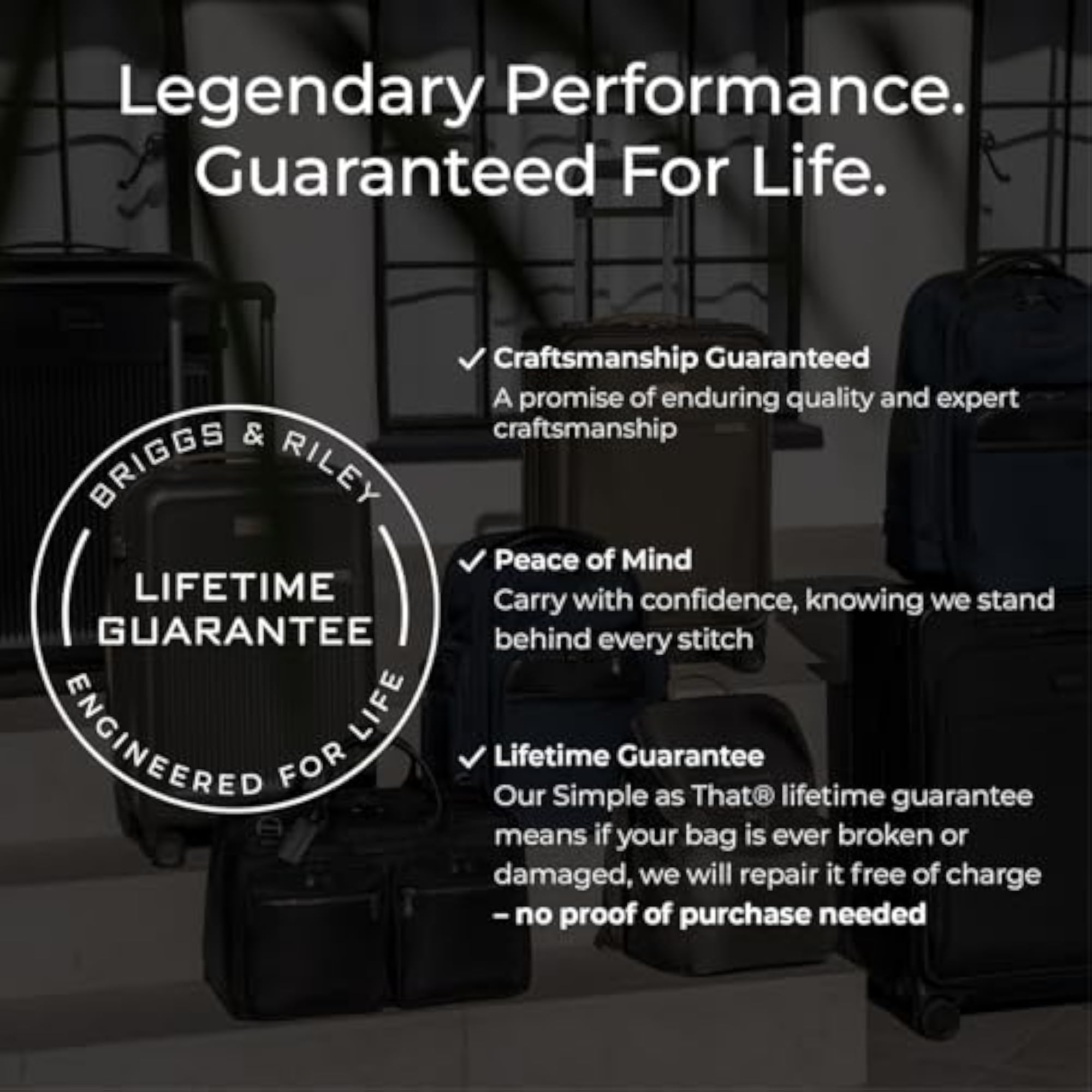 Baseline Black Garment Bag, Check In Sleeve