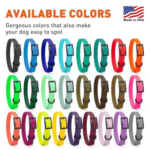 Image of Dogline Biothane Waterproof Dog Collar Strong Coated Nylon Webbing with Black Hardware Odor- Proof for Easy Care Easy to Clean High Performance Fits Small Medium or Large Dogs, Blue Aqua