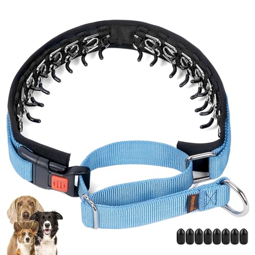 Mayerzon No Pull Dog Collar, Patented Martingale Collar for Small Medium Large Dogs with Buckle and Heavy Duty Nylon for Walking Training Hunting, Safe and Easy to Use(M, Blue)