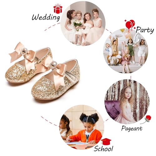 Toddler Flower Girl Dress Shoes - Little Girl Mary Janes Flats Wedding4