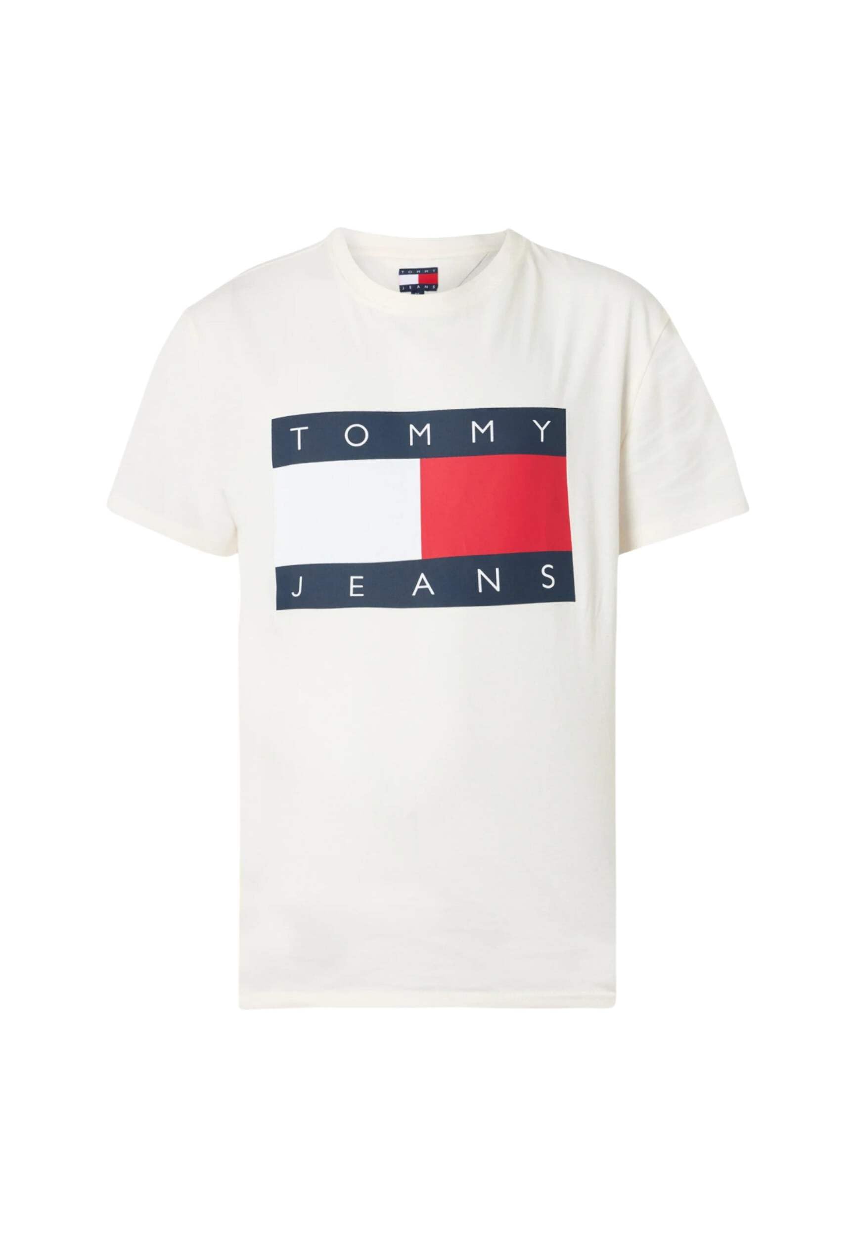 TJM REG BIG FLAG SS TEE EXT Tişört Erkek