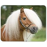 shetland ponys in not Lustiger Entwurf und Druck - diese dekorative Spielmäusematte wird auf einer Seite mit buntem Neuheitsbild und -muster gedruckt.