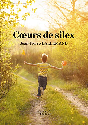Coeurs de silex