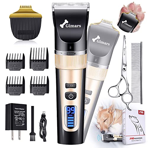 Top 10 Best Professional Dog Grooming Kit Reviews & Buying Guide Katynel