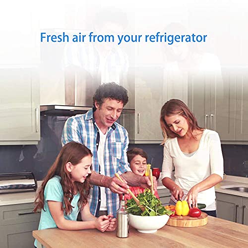 Belvita Refrigerator Air Filter Replacement Compatible With Lg Lt120F Adq73214404 Adq73214402 469918 9918 46-9918-3 Pack, 3 Count (Pack Of 1) #TOP5