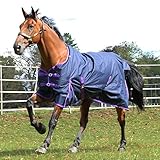 Gallop