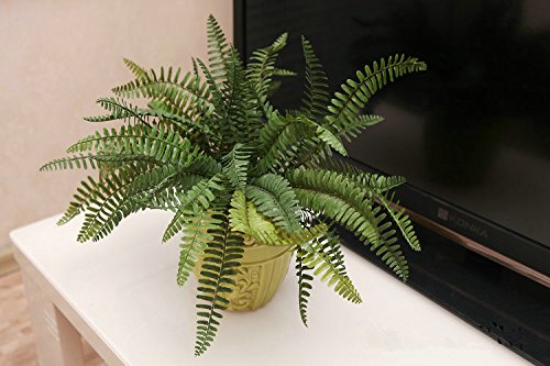 Real Touch Artificial Plants - Boston Ferns (Small) 6 Stems