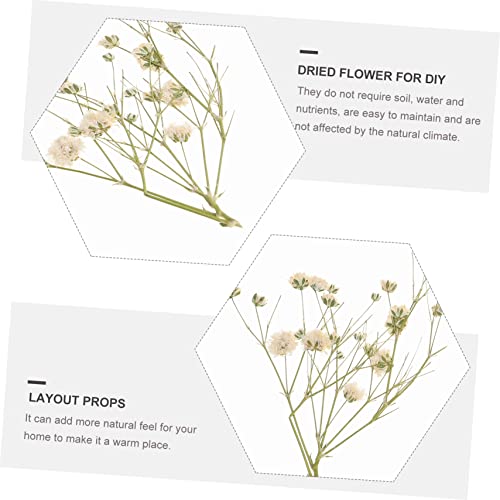 Ramo de flores secas naturales para decoración DIY miniatura 6