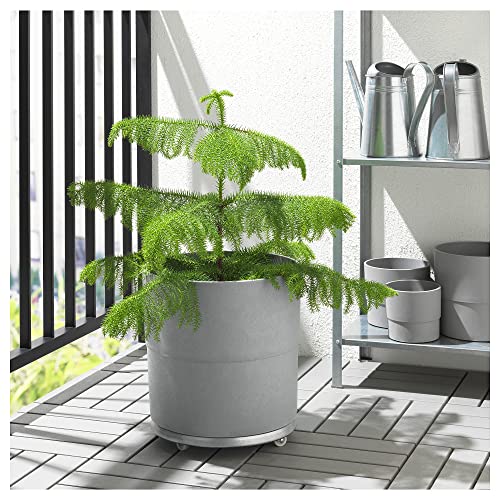 Pot de fleurs intérieur extérieur gris 32 cm ProTuning NYPON design