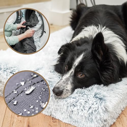 Amazinggirl Hundebett für kleine mittelgroße und Grosse Hunde 100 x 60 cm - Hundekissen Hundebetten Hundesofa Dog Bed Hundematratze Hundekorb oder Wolkenbett flauschig und waschbar Hellgrau