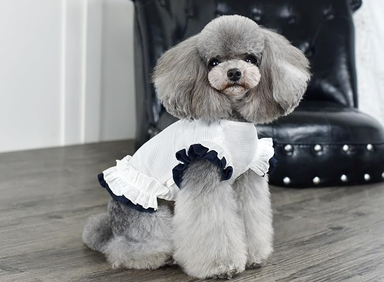 Amazon | RIOSTUDIO 犬服 春夏 【日本初上陸】PEEKAPOODLE