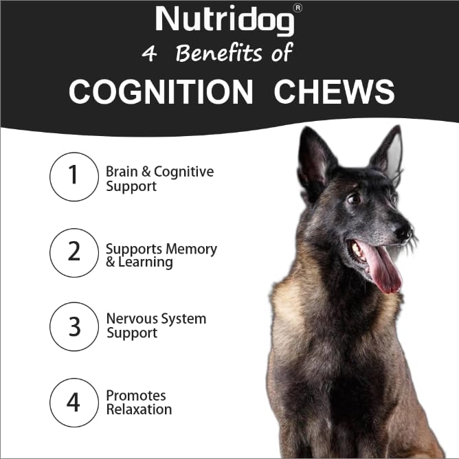 Image of Senior Dog Cognition Chews 120 Count - DHA, Phosphatidylserine | Organic Lion's Mane for Brain Health, Memory & Cognitive Decline Support, with Alpha-GPC & Ashwagandha, Beef Flavor