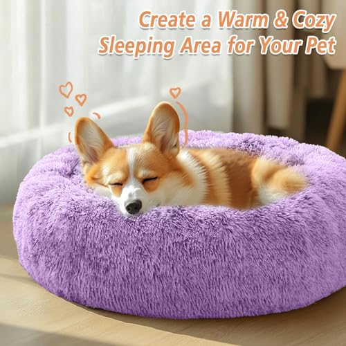 Image of JOLLYVOGUE Calming Small Dog & Cat Bed for Indoor Cats - 20 inches Washable Donut Bed for Kittens & Puppies, Anti-Anxiety Round Fluffy Plush Pet Beds (Fits up to 15 lbs, Purple)