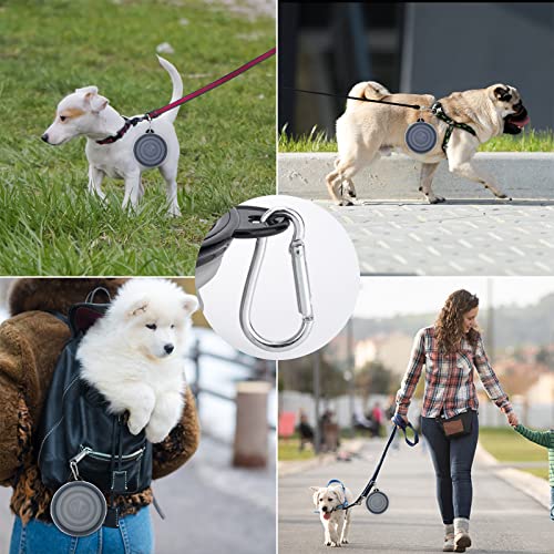 2 Stück Faltbare Reisenäpfe,Haustier Hundenapf mit Deckel und Haken Tragbare Silikon Trinkschale für Katzen,Hunde Reise Wanderungen and Camping (kühl grau und violett, klein)