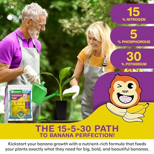 Image of Wellspring Gardens Banana Fuel Fertilizer - Water-Soluble 15-5-30 Blend - Banana Plant Fertilizer - Plant Food - Formula for Banana Trees & Plants - Grow Healthy and Happy Plants (1 Pound)