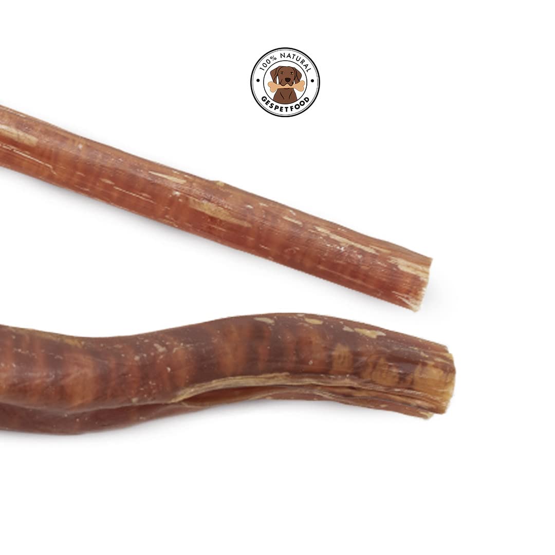 Gespetfood - Nervio de Toro 15" para Perros - Snack Deshidratado para Perros - 11 Unidades - Encías Saludables - 500gr
