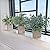 Winlyn Set of 3 Mini Potted Artificial Eucalyptus Plants Plastic Fake Green Rosemary Plant for Home Decor Office Desk Shower Room Decoration