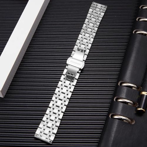 Bracelet de montre de rechange en acier inoxydable 19mm agate