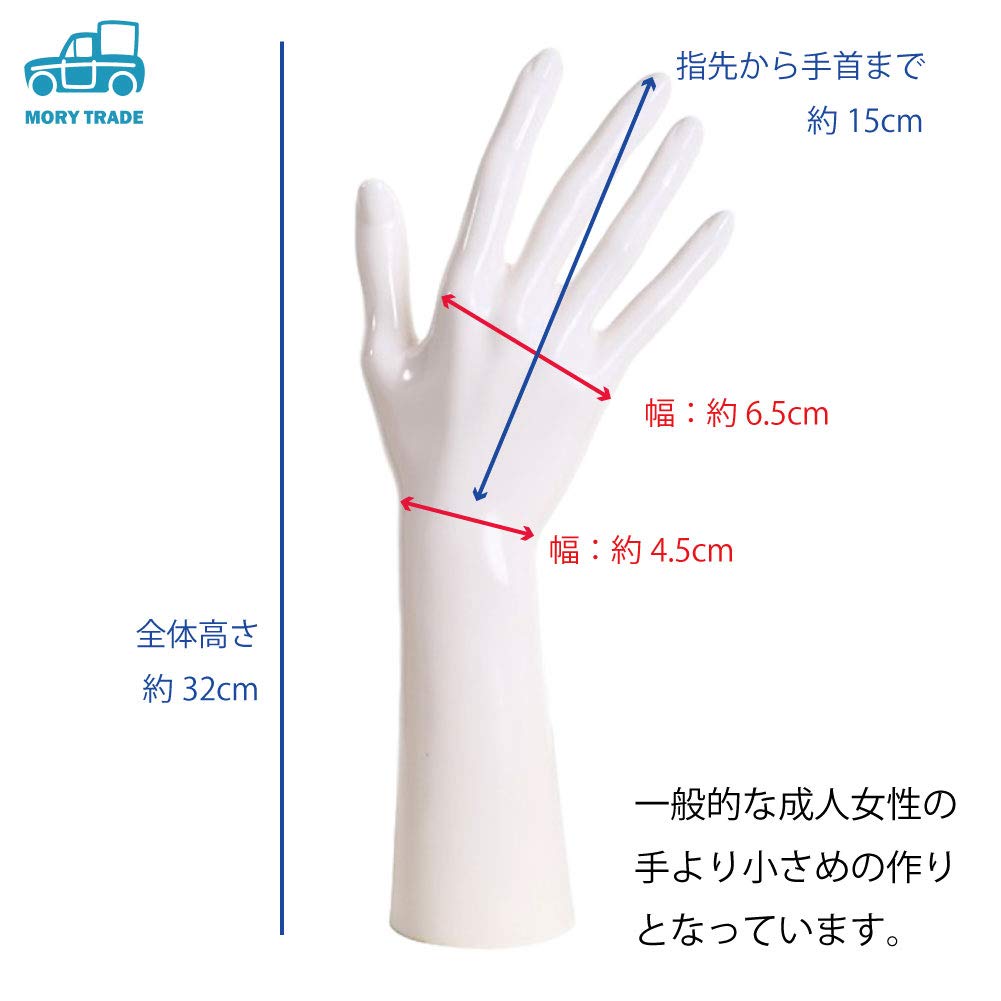 Amazon | MORYTRADE ハンドマネキン トルソー レディース マネキン