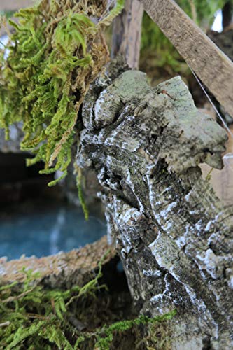 Ferrari & Arrighetti Laghetto nella Grotta con