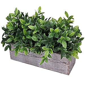 Artificialeucalyptusplantinrusticrectangularwoodenplanterboxfauxpottedherbplantgreeneryarrangementforfarmhouseindoorweddingtablecenterpiecemantelshelfkitchendecor Urban Country Home Decor Artificial eucalyptus plant in rustic rectangular wooden planter box faux potted herb plant greenery arrangement for farmhouse indoor wedding table centerpiece mantel shelf kitchen decor urban country home decor