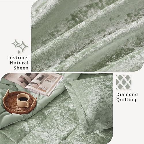 Intelligent Design Comforter Set Velvet Bedding Reversible, All Season, Diamond Quilted Microfiber, Felicia, Twin/Twin XL, Green 3 Piece - image 6