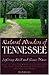 Natural Wonders of Tennessee: Exploring Wild and Scenic Places
