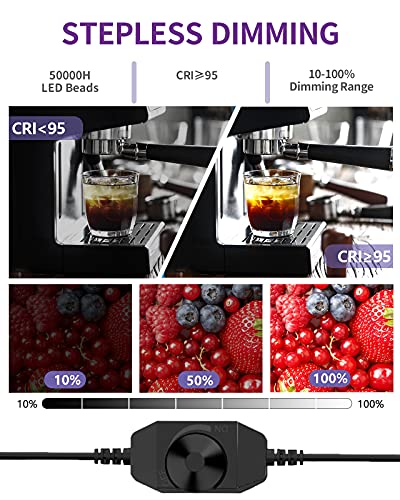 Lichtzelt – Bild 6