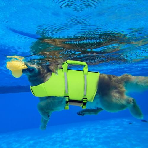 Queenmore Dog Life Jacket,Dog Life Vest for Swimming,Large Dog Swim Vest,Lightweigth Adjustable Reflective Puppy Pet Float Life Preserver Vest with Back Zip,Rescue Handle,Metal Hook (Green L)