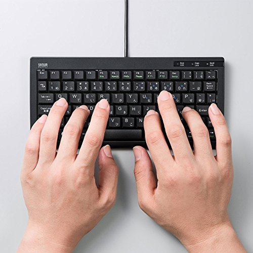 サンワサプライ(Sanwa Supply) ミニ&スリムUSBキーボード SKB-SL28BK の商品画像 1