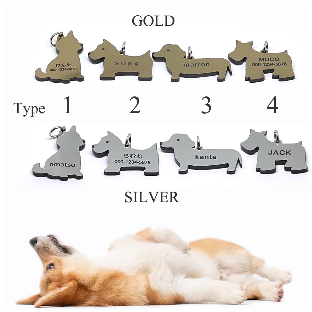 Amazon.co.jp: 迷子札 アクリル 軽い 犬 おしゃれ ネームタグ ペット