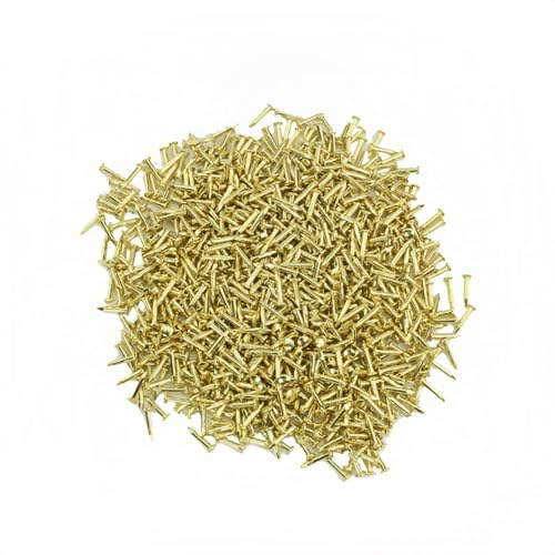 SB Błp | dxZg/؍ޑΉ | ƋCEp TCYI (1.2*30mm)