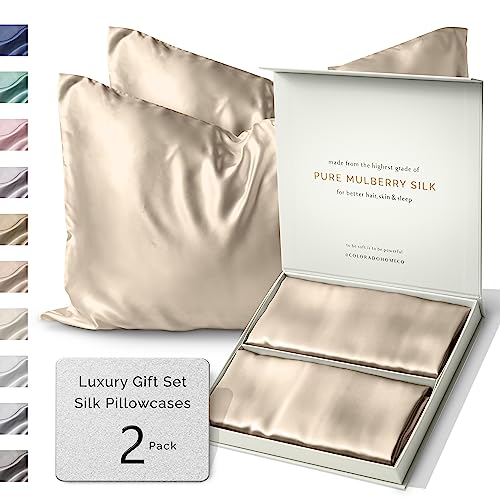Colorado Home Co 2-Pack Silk Pillowcases