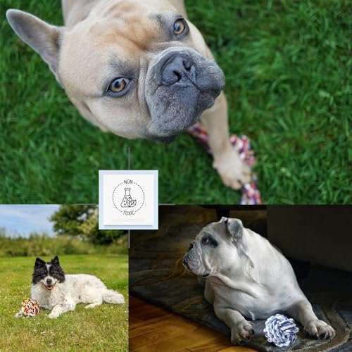 Koyukuk Hundespielzeugbälle für kleine Hunde, 12er-Pack interaktives Hundespielzeug für kleine Rassen von 0–7 kg, inklusive Gummi-, Quietsch- und Seilbällen