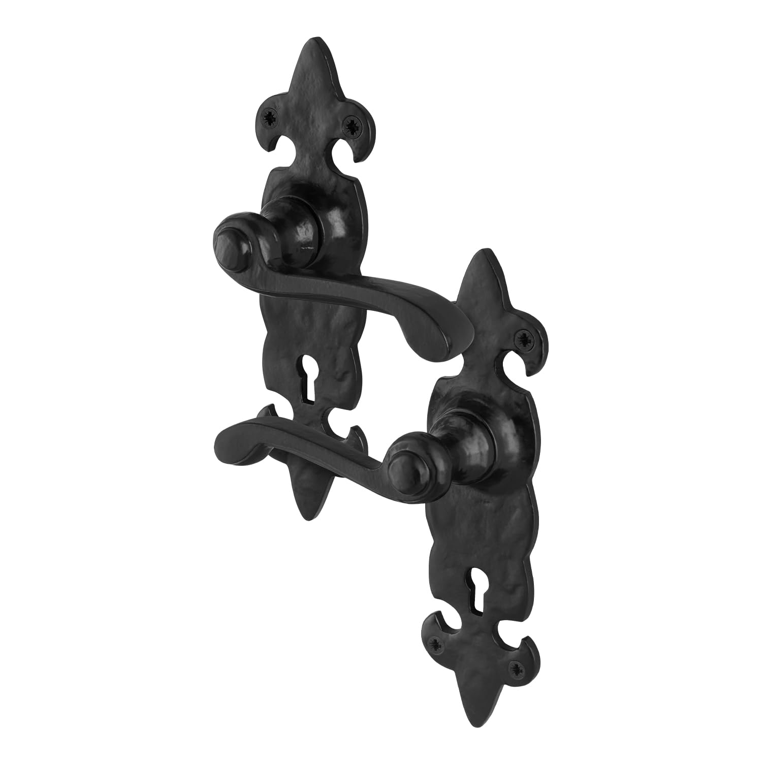 EAI Fleur De LYS Black Antique Door Handles Key Lock, 1 Pair of Cast Iron Internal and External Door Handles on Backplate