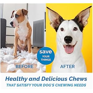 Hooves-for-Dogs-25-Count-100-Natural-Long-Lasting-Beef-Dog-Treats-Made-from-Beef-Hoof-from-Free-Range-Grass-Fed-Cattle-with-NO-Additives-Coloring-or-Chemicals - Cucciolini Doodles   Hooves-for-Dogs-25-Count-100-Natural-Long-Lasting-Beef-Dog-Treats-Made-from-Beef-Hoof-from-Free-Range-Grass-Fed-Cattle-with-NO-Additives-Coloring-or-Chemicals